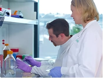 IDRI-Case-Study-WEB.pdf