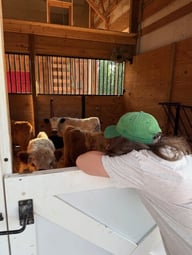 lwl farm 1