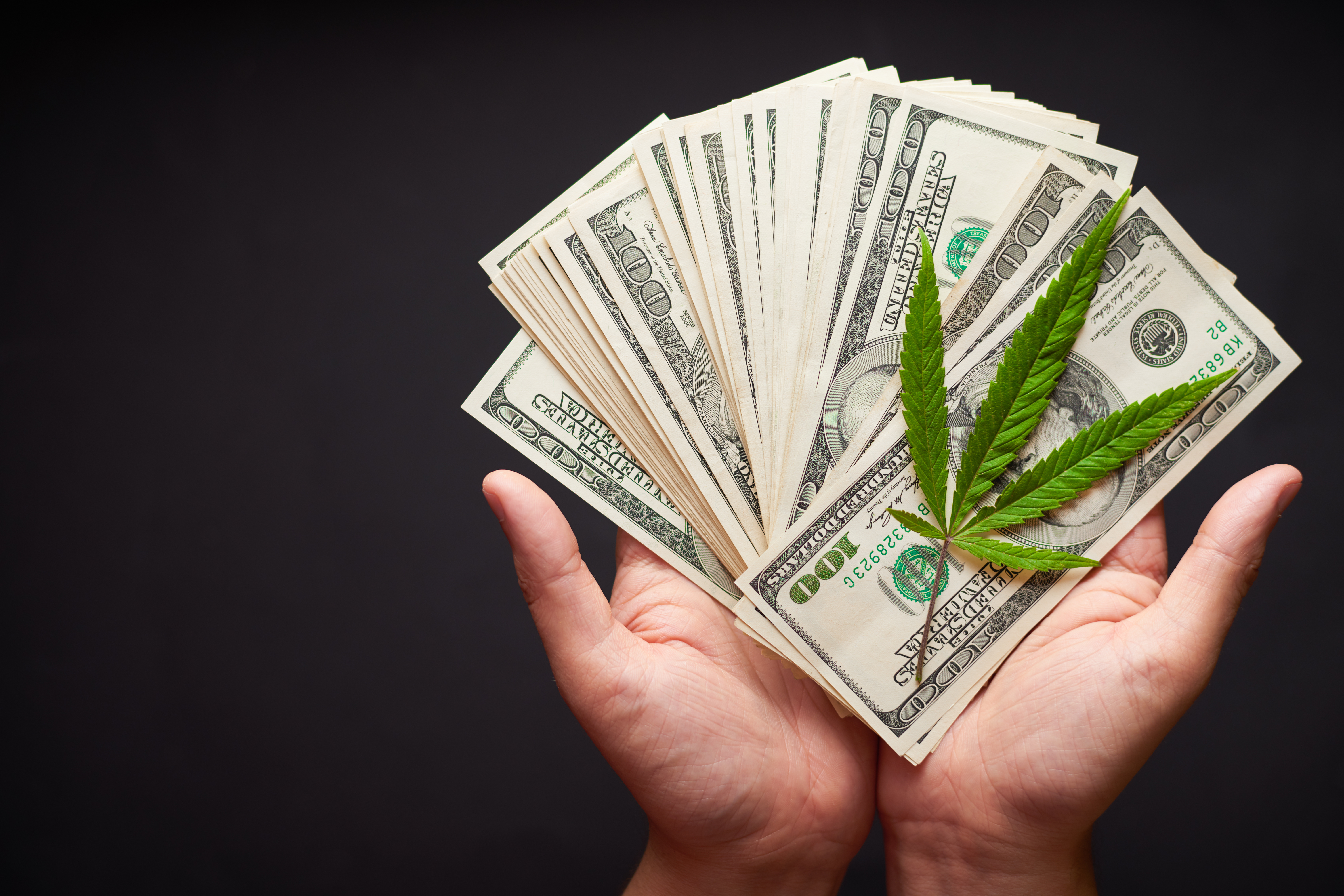 Payroll Best Practices for Cannabis Businesses