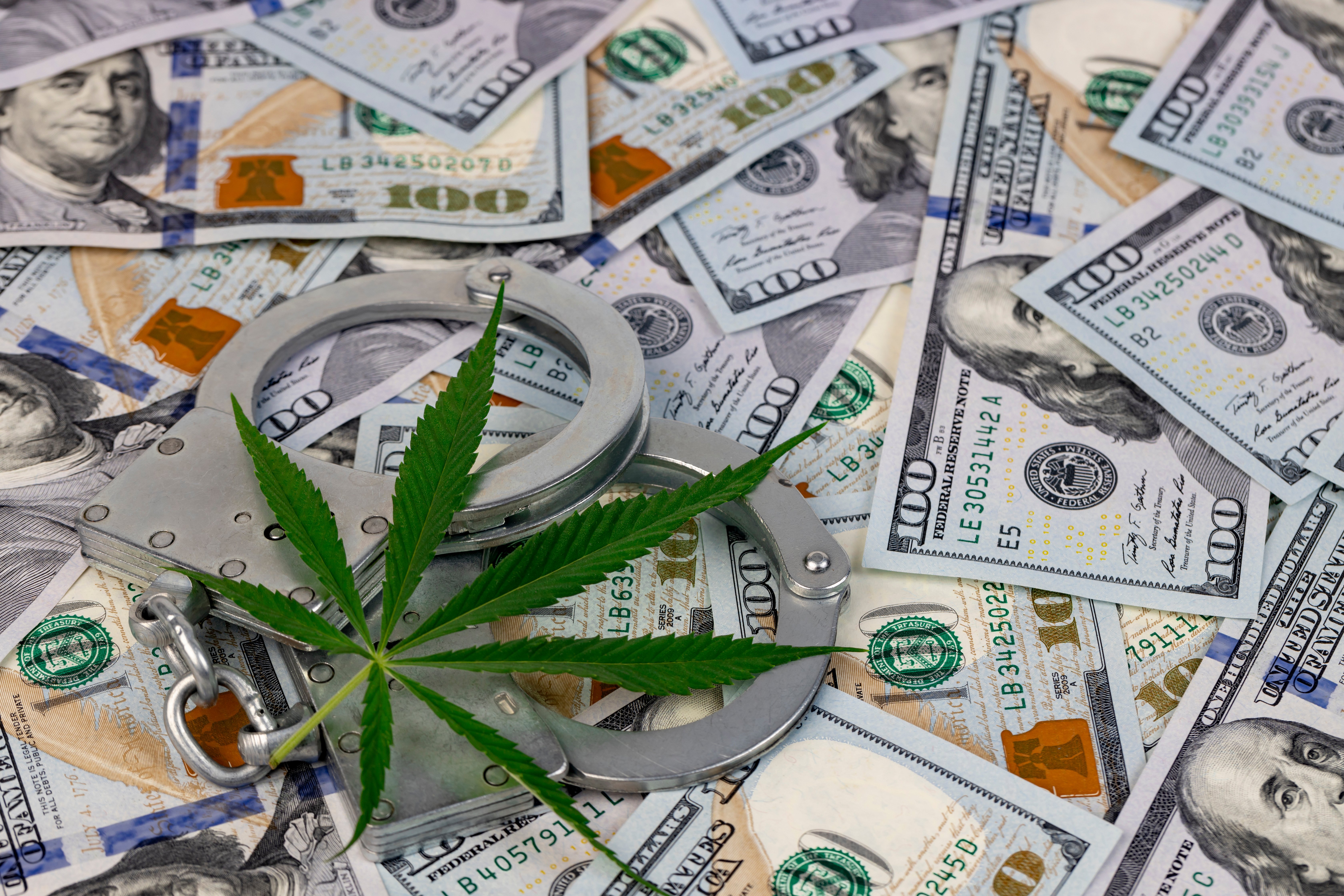 How to Set Up Cannabis Payroll