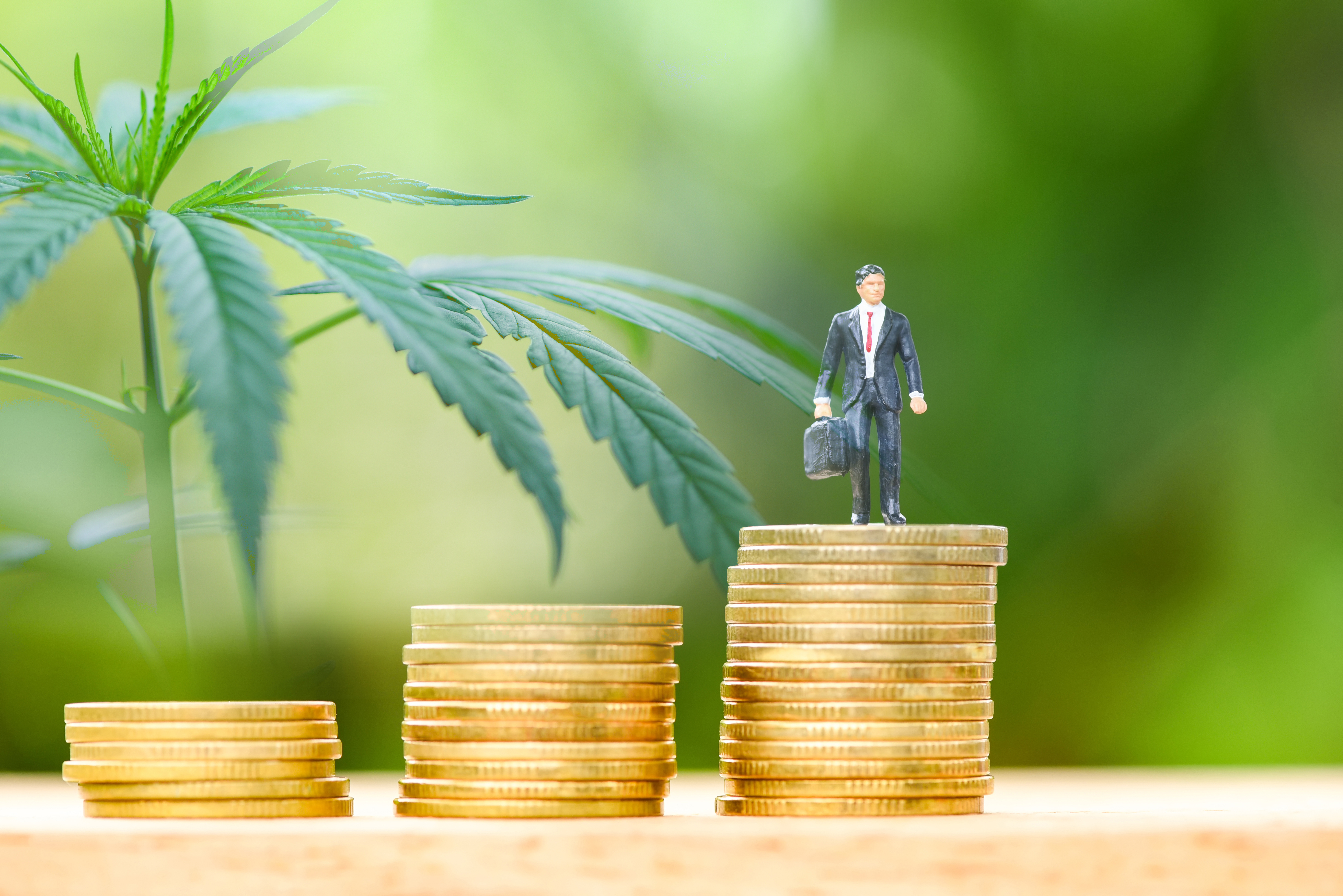 Payroll for Cannabis Businesses: Why Cannabis Payroll?